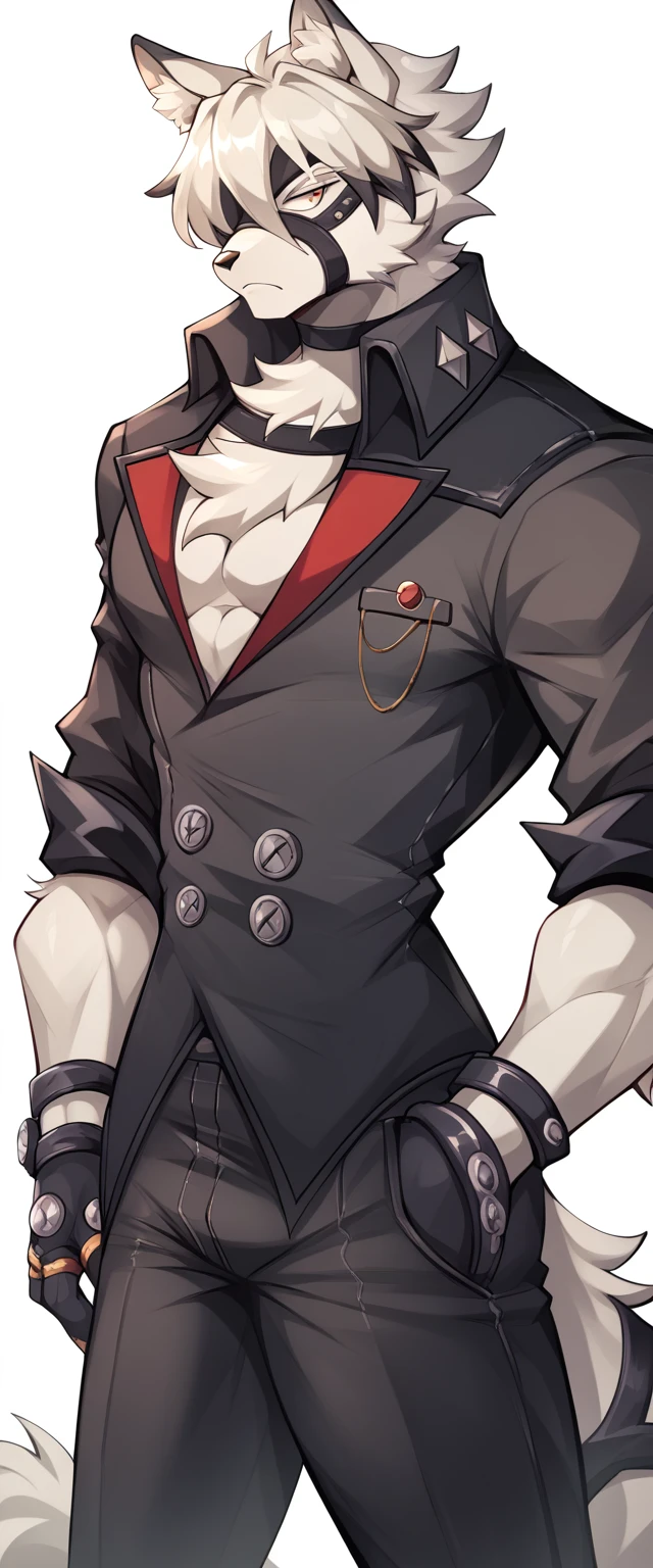 From_Lycaon_(priceless_Zone_Zero), fluffy, male, male chest, thin waist, hips, standing, black jacket, black trousers, механические бFromинки, золFromые часы в кармане, gloves, золFromые пуговицы, muscular body,