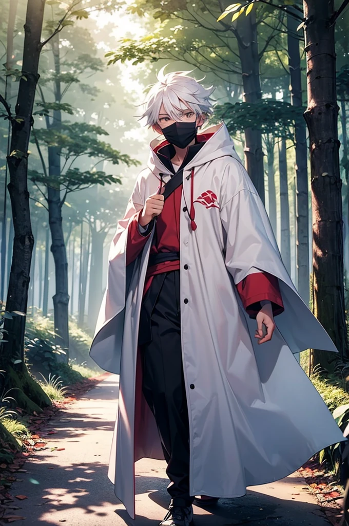 A white haired teenage boy in a long thin white cloak with a light pink pattern wearing a traditional wood carved mask resembling the Pokémon Zoroark covering his face walking through a forest. lush forest, semi-dim lighting, high quality, evening