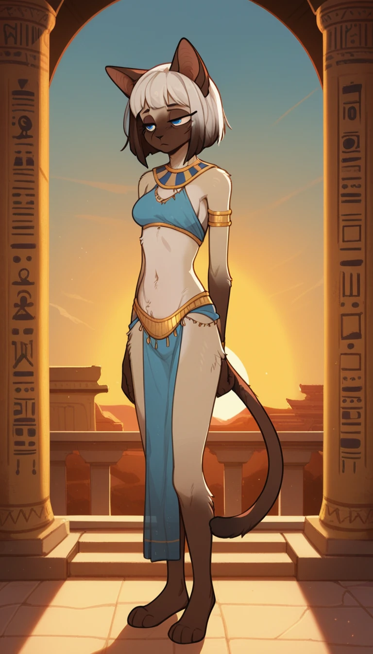 tired expression, 1girl, anthro, furry, fur, fluffy fur, siamese cat, cat girl, white hair (brown highlights), blue eyes, short hair, full body, (19 years), medium breast, thighs, solo, (egyptian temple), sunset, half-closed eyes, detailed, blues belly dancer outfit, blue loincloth, depressed, sad, sunset, standing, score_9, score_8_up, score_7_up, score_6_up, score_5_up, score_4_up