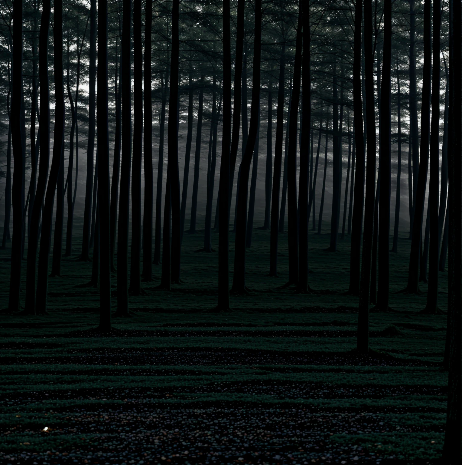 a monster in the woods, hidden by night, triangular shaped head, long patchy hair across entire body, lanky, really long torso, on all fours, staring at you, 4 bright white eyes, hidden in shadows, in the woods at night, horrifying encounter, cryptid, shrouded entirely in darkness