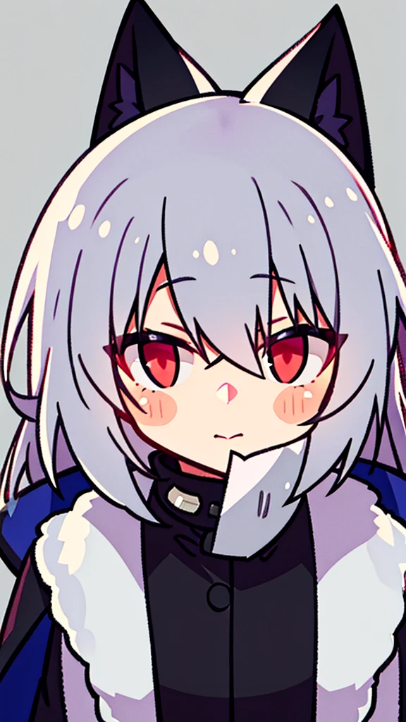 Silver fox with light red pupils