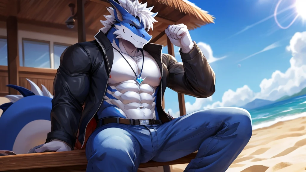 bynamic angle,depth of field, motion blur, absurdres,looking at viewer, (best quality), (masterpiece), (ultra detailed),(detailed eyes),sharp focus,manga,anthro male dark Blue Dragon,(muscular),Huge body chest , own pet kitty ,sky blue eyes,handsome jacket blue gray pants star pendant necklace sitting on the balcony beach white hairstyle