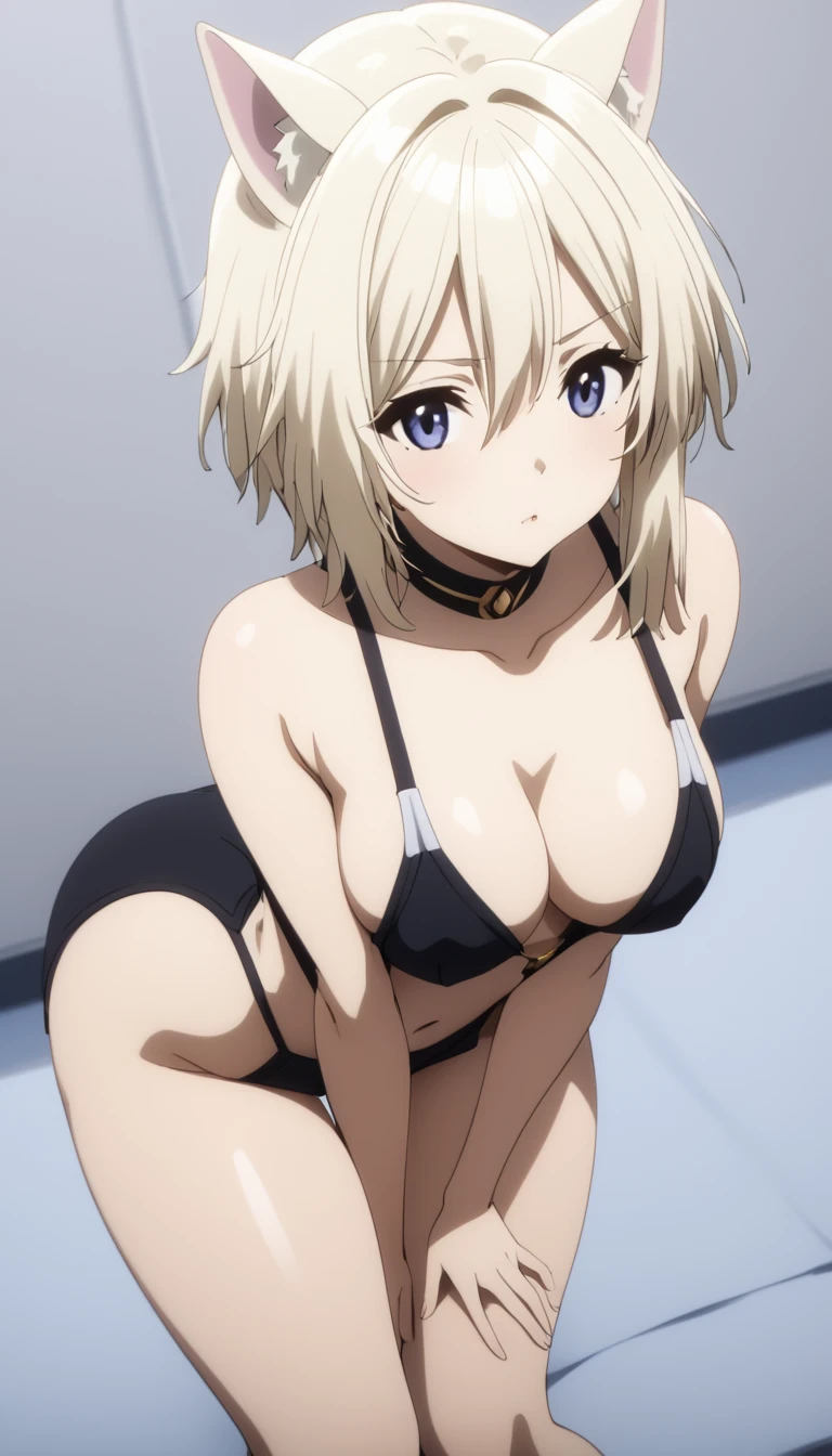 (Masterpiece、Highest quality、Very detailed、4K)、One Woman、、Light golden hair、Cute cat ears、short hair、(((Zeta)))、chest、Beautiful arms、Beautiful thighs