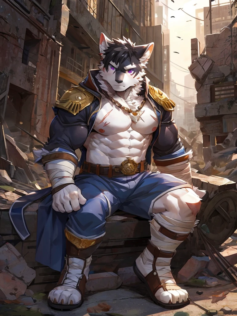 embedding:black wolf, male,purple eyes,Scar on the face, scar on the body,Single person,The end of the world,sit in the ruins,His leg was bandaged,A shabby uniform,Modern cities,A heavy expression,Serious expression, a little sad.Fleshy thighs,Thigh straps,With an iron bar in his hand,The highest quality of scene detail,adult,Tall and powerful,muscle,Best quality hands, best quality eye,detailed fur,Delicate eyes.Extreme picture quality,by sollyz,by zixiong,by milkytiger1145