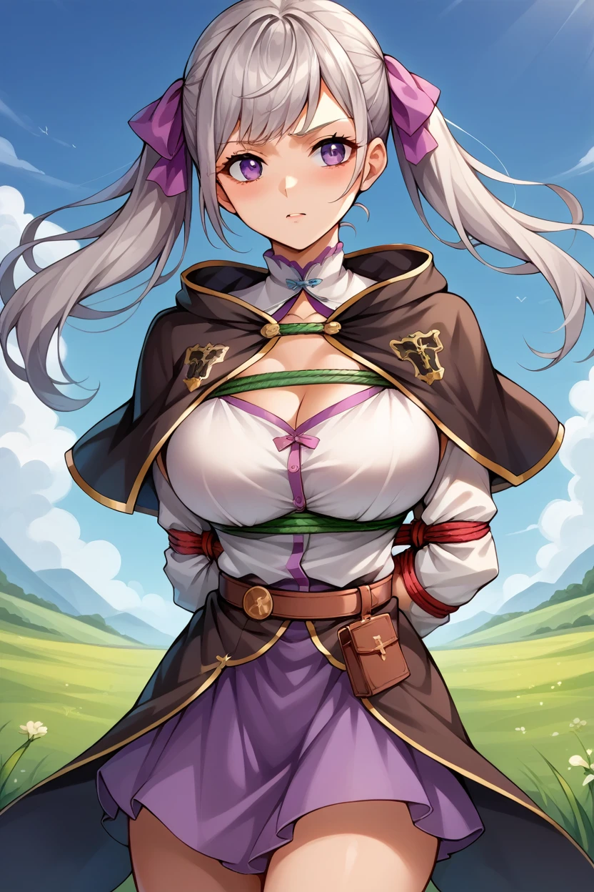 score_9, score_8_superior, score_7_superior, score_6_superior, sauce_Anime BREAK 1 Girl,  Noel Silva, Grey Hair, Purple eyes, Twin tails, Hair Ribbon, Black capelet, Green Strap, White and purple dress, Long sleeve, belt, Big Breasts, Conceit, blue sky, Field, superiorper body,Tied up with rope,