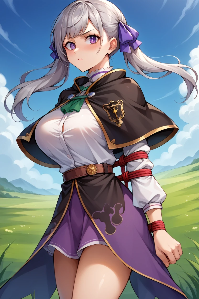 score_9, score_8_superior, score_7_superior, score_6_superior, sauce_Anime BREAK 1 Girl,  Noel Silva, Grey Hair, Purple eyes, Twin tails, Hair Ribbon, Black capelet, Green Strap, White and purple dress, Long sleeve, belt, Big Breasts, Conceit, blue sky, Field, superiorper body,Tied up with rope,