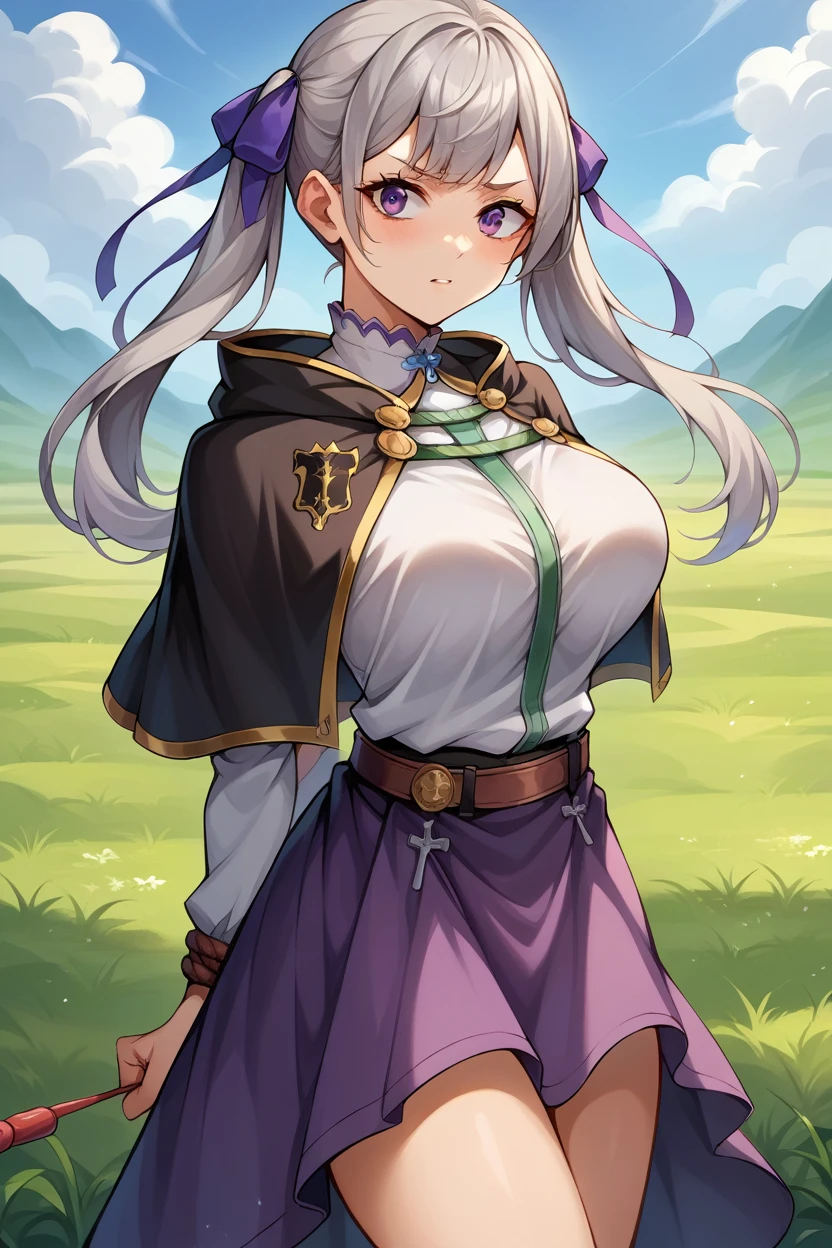 score_9, score_8_superior, score_7_superior, score_6_superior, sauce_Anime BREAK 1 Girl,  Noel Silva, Grey Hair, Purple eyes, Twin tails, Hair Ribbon, Black capelet, Green Strap, White and purple dress, Long sleeve, belt, Big Breasts, Conceit, blue sky, Field, superiorper body,Tied up with rope,