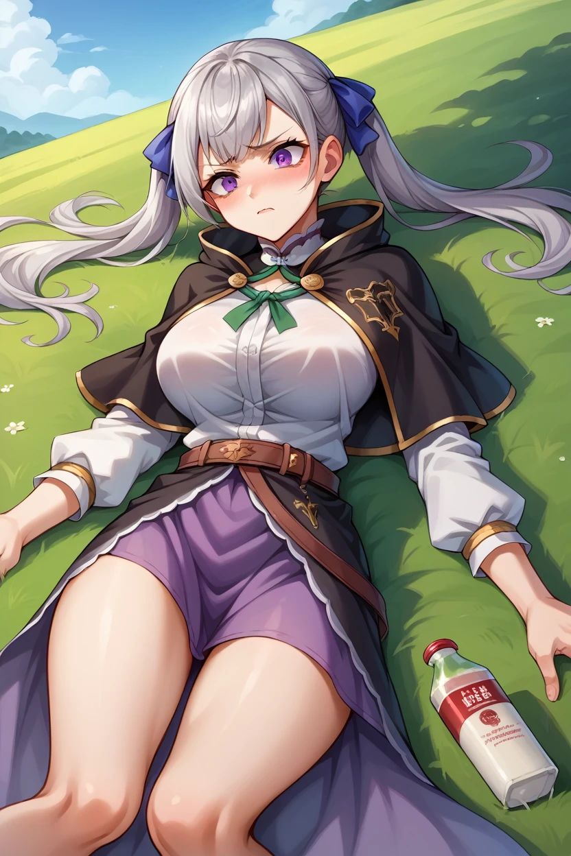 score_9, score_8_superior, score_7_superior, score_6_superior, sauce_Anime BREAK 1 Girl,  Noel Silva, Grey Hair, Purple eyes, Twin tails, Hair Ribbon, Black capelet, Green Strap, White and purple dress, Long sleeve, belt, Big Breasts, Conceit, blue sky, Field, superiorper body,The body is tied with a rope,Lying down,Struggling,