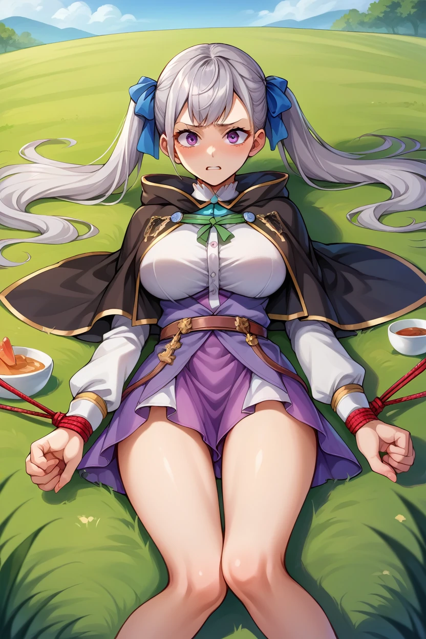 score_9, score_8_superior, score_7_superior, score_6_superior, sauce_Anime BREAK 1 Girl,  Noel Silva, Grey Hair, Purple eyes, Twin tails, Hair Ribbon, Black capelet, Green Strap, White and purple dress, Long sleeve, belt, Big Breasts, Conceit, blue sky, Field, superiorper body,Tied up with rope,Lying down,Struggling,