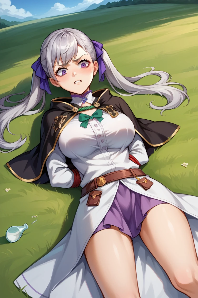 score_9, score_8_superior, score_7_superior, score_6_superior, sauce_Anime BREAK 1 Girl,  Noel Silva, Grey Hair, Purple eyes, Twin tails, Hair Ribbon, Black capelet, Green Strap, White and purple dress, Long sleeve, belt, Big Breasts, Conceit, blue sky, Field, superiorper body,Tied up with rope,gag,Lying down,Struggling,