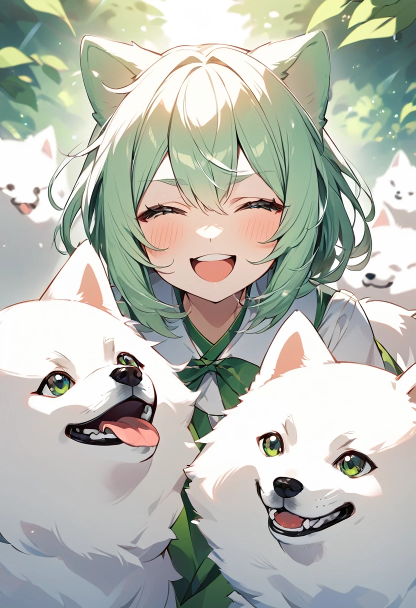 Samoyed dog with green fur、The expression is a smile