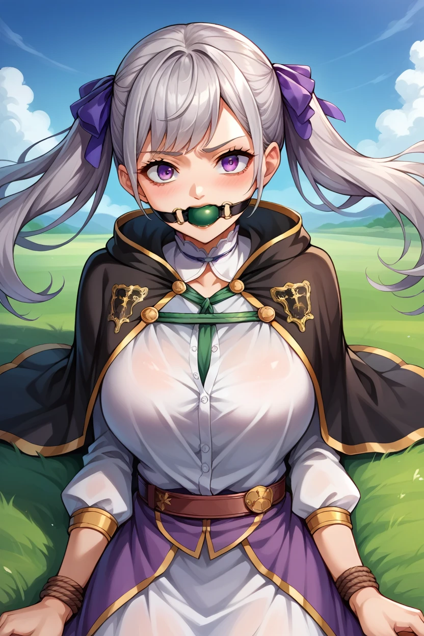 score_9, score_8_superior, score_7_superior, score_6_superior, sauce_Anime BREAK 1 Girl, Noel Silva, Grey Hair, Purple eyes, Twin tails, Hair Ribbon, Black capelet, Green Strap, White and purple dress, Long sleeve, belt, Big Breasts, Conceit, blue sky, Field, superiorper body,Tied up with rope,gag,Lying down,Struggling,