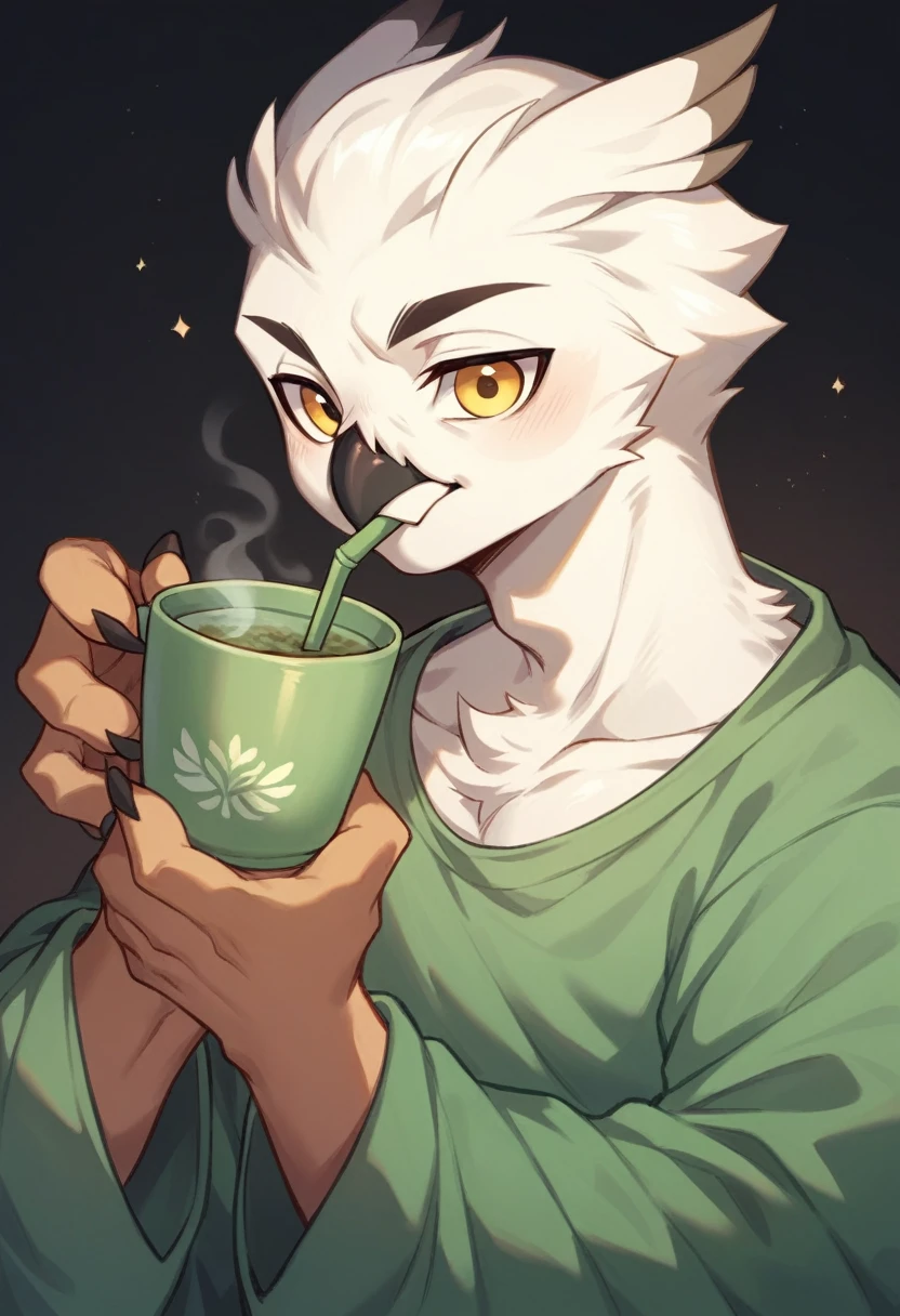 A owl bird, male, cute, white feather, drinking green tea from china, simple dark background, big yellow eyes