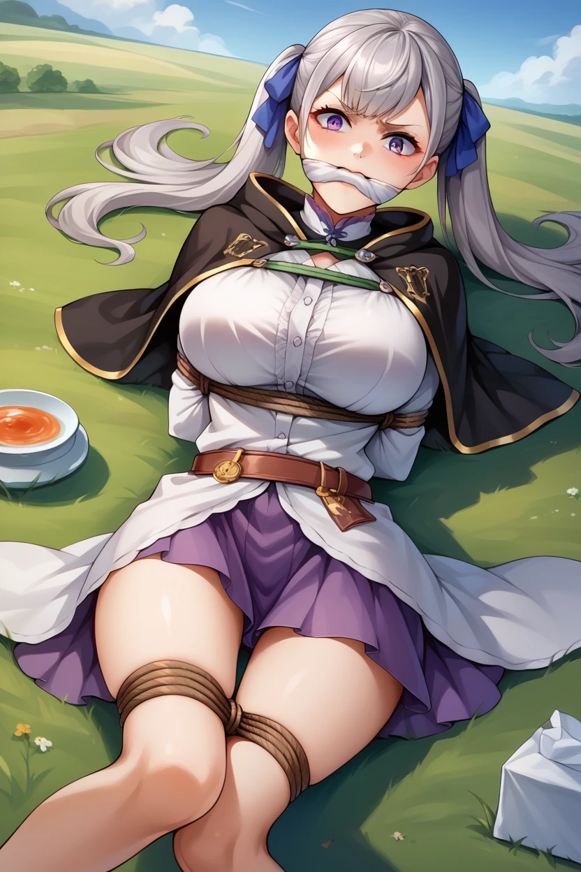 score_9, score_8_superior, score_7_superior, score_6_superior, sauce_Anime BREAK 1 Girl,  Noel Silva, Grey Hair, Purple eyes, Twin tails, Hair Ribbon, Black capelet, Green Strap, White and purple dress, Long sleeve, belt, Big Breasts, Conceit, blue sky, Field, superiorper body,Tied up with rope,gag,Lying down,Struggling,