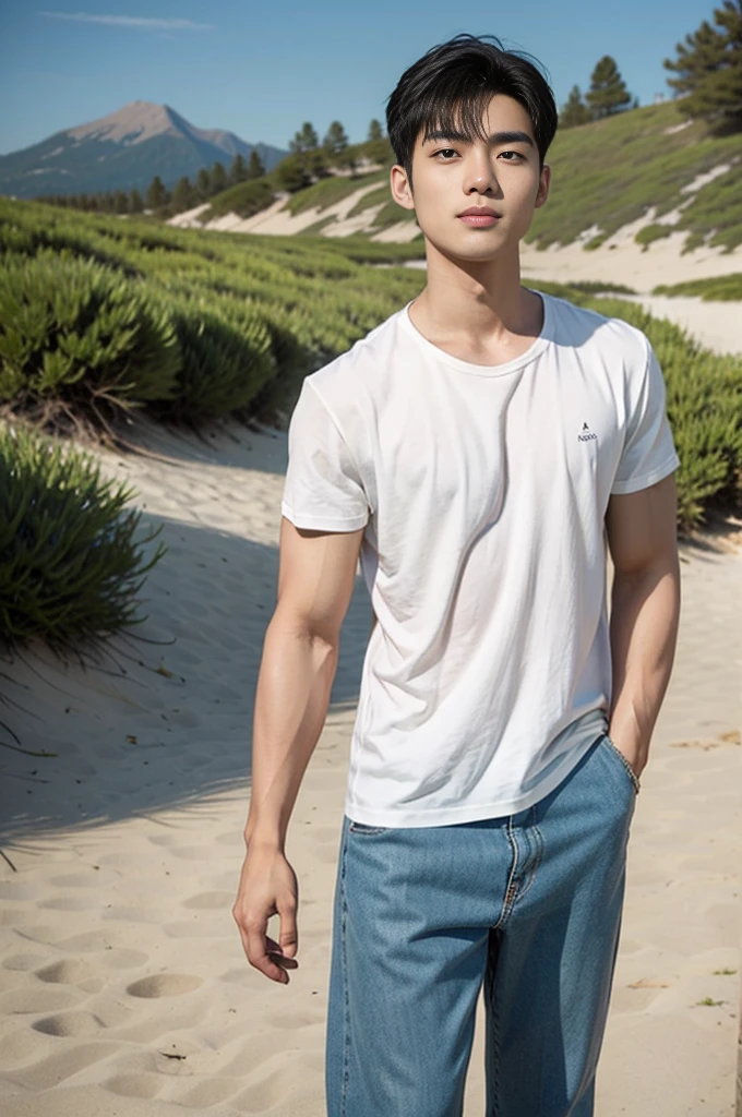 A young Asian man stands, handsome, muscular, looking at the camera. In a plain white t-shirt , Fieldside, grass, beach, sunlight