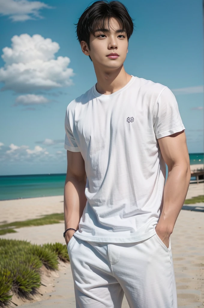 A young Asian man stands, handsome, muscular, looking at the camera. In a plain white t-shirt , Fieldside, grass, beach, sunlight