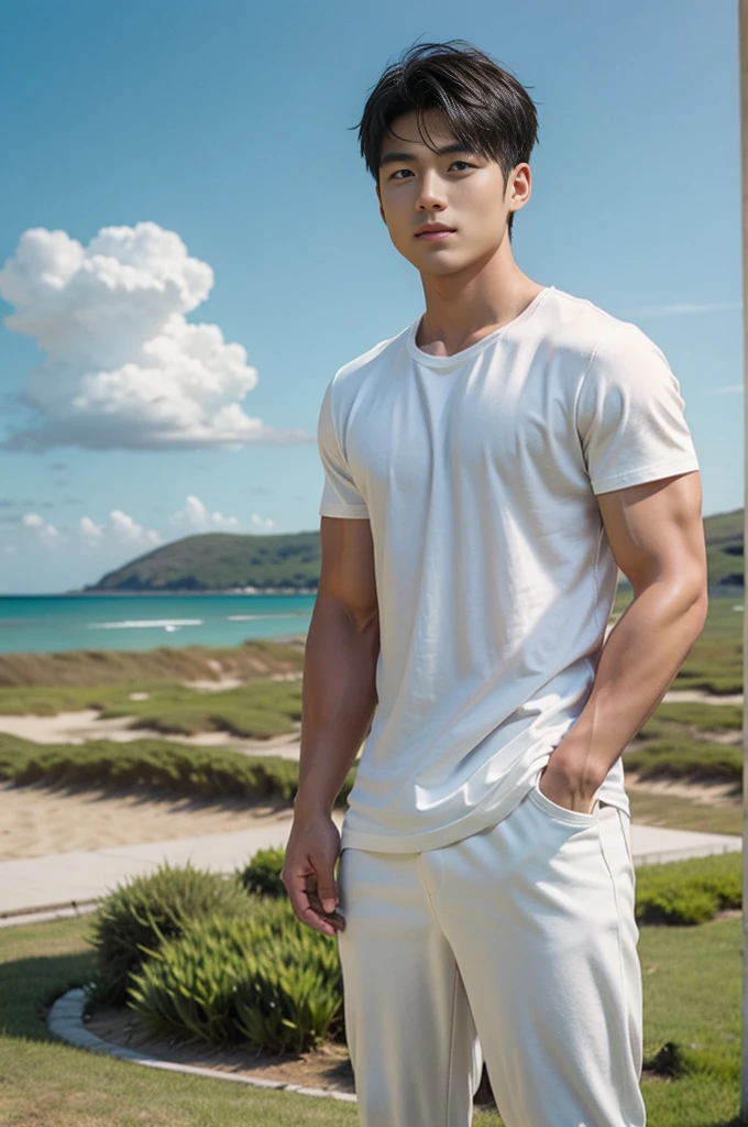 A young Asian man stands, handsome, muscular, looking at the camera. In a plain white t-shirt , Fieldside, grass, beach, sunlight