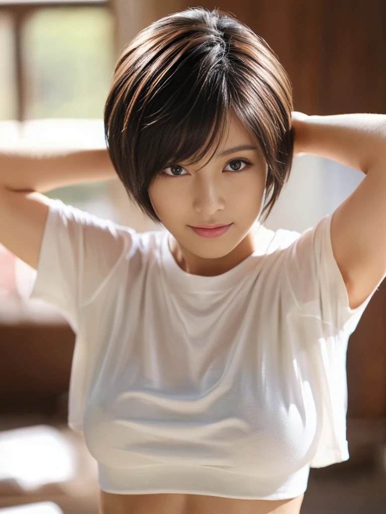 ((Highest quality、In 8K、masterpiece:1.3))、Sharp focus:1.2、Beautiful woman perfect body:1.4、Slim Abs:1.2、((Short Hair:1.2))、T-Shirts、Background white、Wet body:1.5、Three-dimensional texture、Detailed eyes、(Brown Hair、Black Hair:1.2)、Very shiny hair、Backward view、Hair quality improvement、Handsome short、Short-haired blonde。