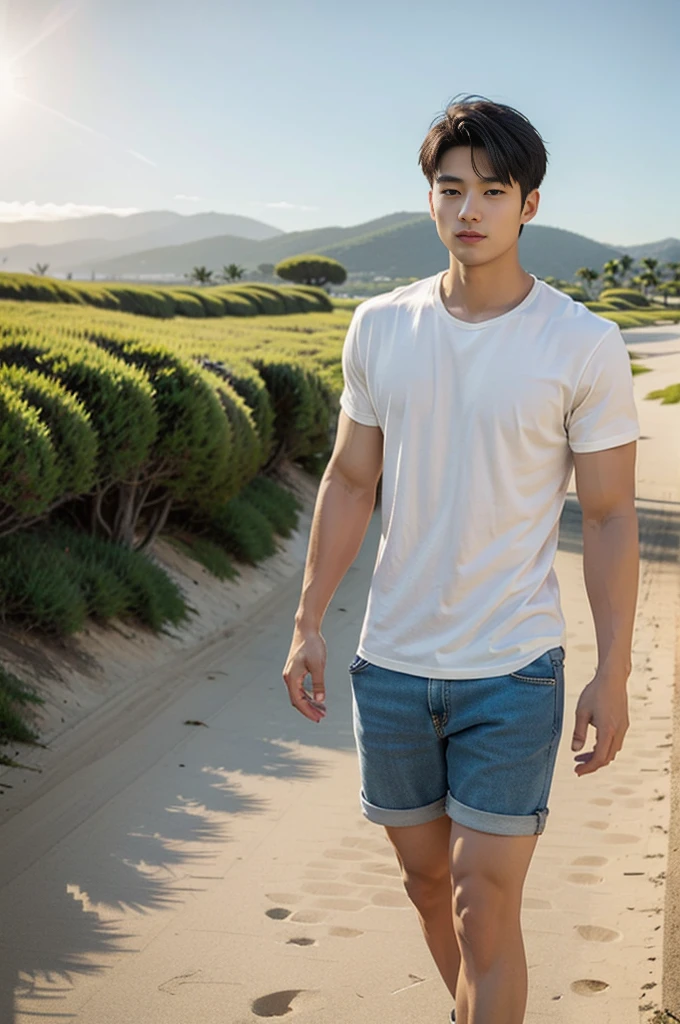 A young Asian man stands, handsome, muscular, looking at the camera. In a plain white t-shirt , Fieldside, grass, beach, sunlight
