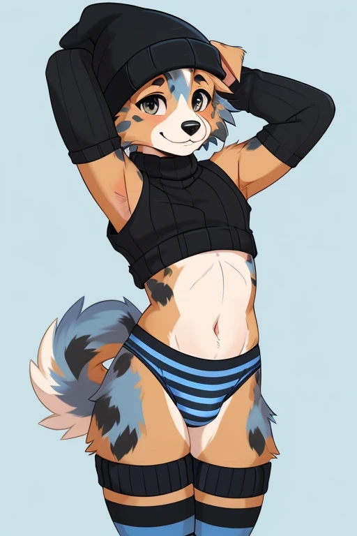 ((SFW)) ((18, cute, furry, Australian Shepherd dog boy femboy wearing blue thin panties with a bulge, black beanie, blue and black striped croptop sweater with exposed shoulders, and black and blue striped thigh-high socks, best quality)) ((hands behind head)) ((exposed hips)) 