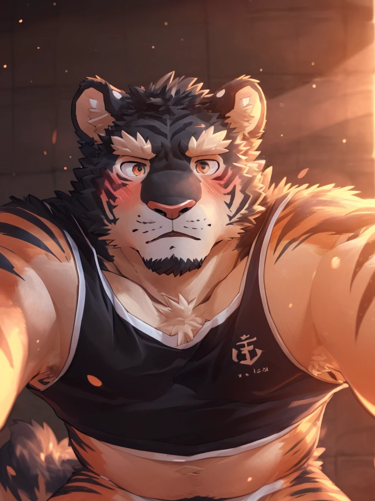 human nature, Wildlife, male,18 years old， solitary, ((round face, The face is plump,Orange eyes,thick orange hair，Scars)), ((endomorph, Handsome，passionate)), (sportswear，Broken clothes), ((domestic tiger, tiger，) Fluffy fur, Fluffy), Bokeh, (high quality, High resolution, masterpiece), (Dynamic lighting, bright colors), (promotion，Injuried，Contempt), Full body pictures (close up), cartoon, author：Takemoto Arashi, From Zixiong, Through Chun Ni, author：Sky Demon，((First-person perspective)) (( ((Wall Dong)) 16K ((Black fur):1.5)) ((looking into camera:1.5)) ((blush:1.2)) 16K