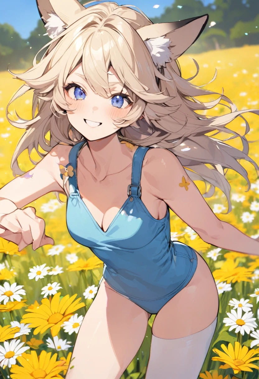 Daisy dingo 