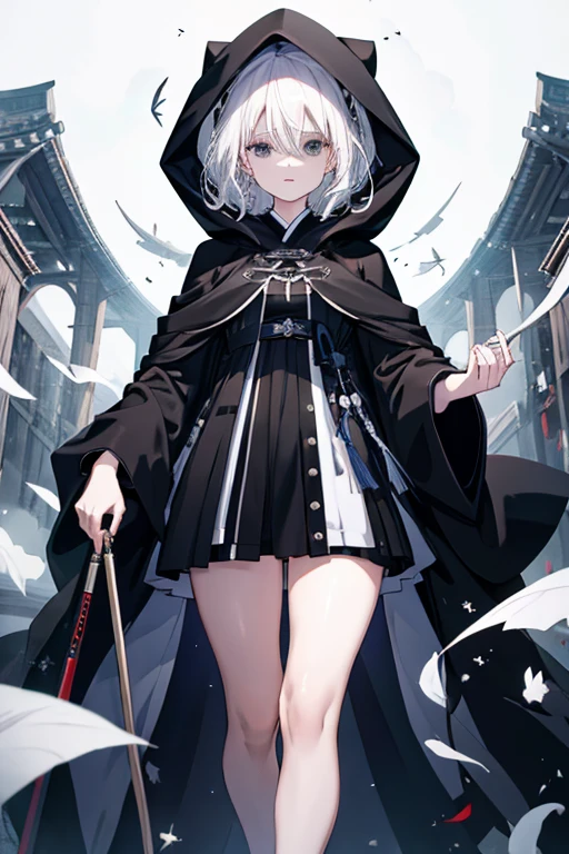 Highest quality、Careful depiction、A white-haired adult woman wearing a black robe and a hood、magic、suspicious、glossy、Thighs