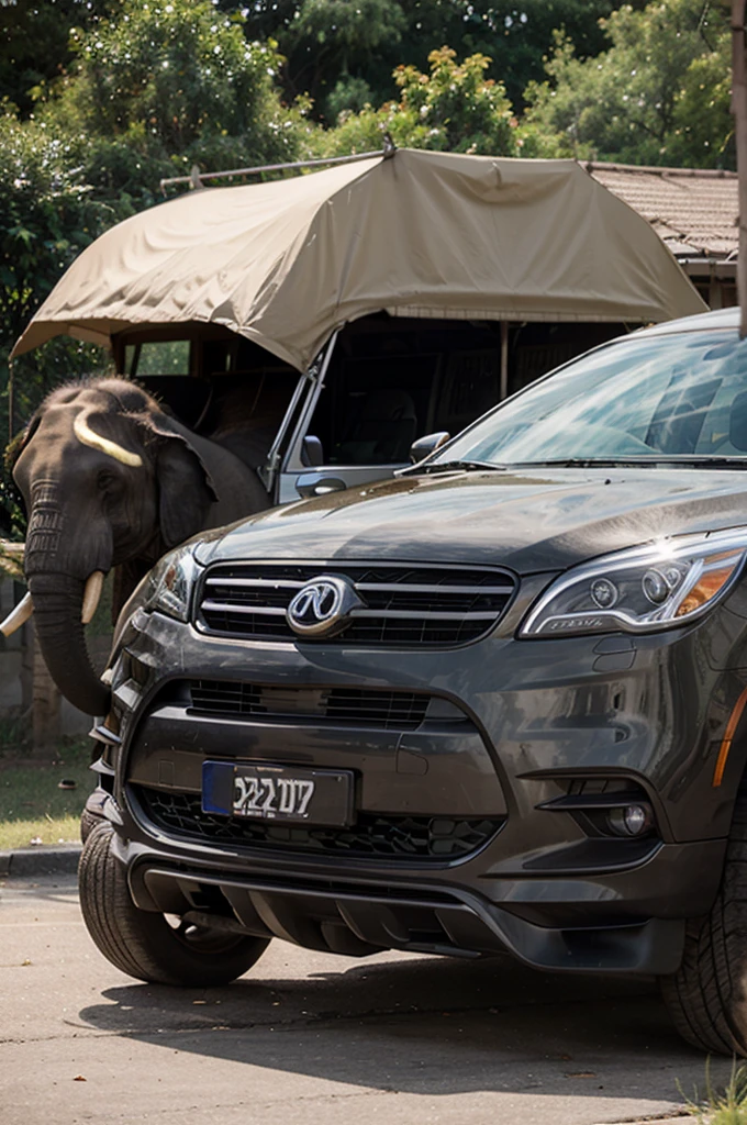 Elephant high school car