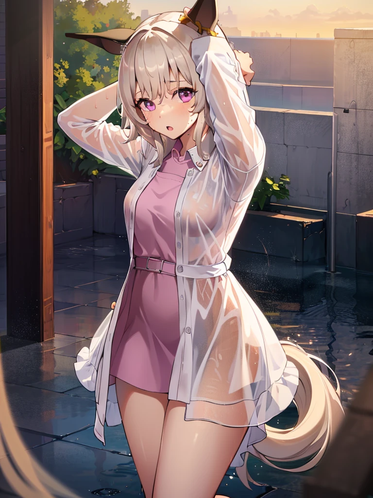nsfw,Wet and transparent、Dress shirt、(Unbroken body),(Perfect body structure),(arms two),(legs two),highest quality, 4K, (High resolution:1.3) masterpiece, 1.2, Super detailed, HDR, Studio Lighting, Sharp Focus, Bright colors, Portrait, Warm tones, Soft Lighting,white hair、Pink eyes、