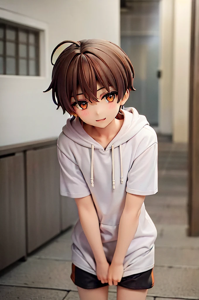 One boy,Brown Hair,,Shorts,Orange eyes,Hoodie with short sleeves,Drooping eyes,Wide Eyes,A little quirky hair,smile,Easygoing,cute
