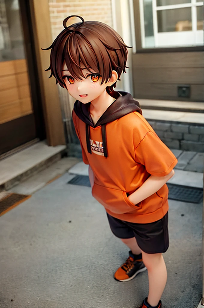 One boy,Brown Hair,,Shorts,Orange eyes,Hoodie with short sleeves,Drooping eyes,Wide Eyes,A little quirky hair,smile,Easygoing,cute