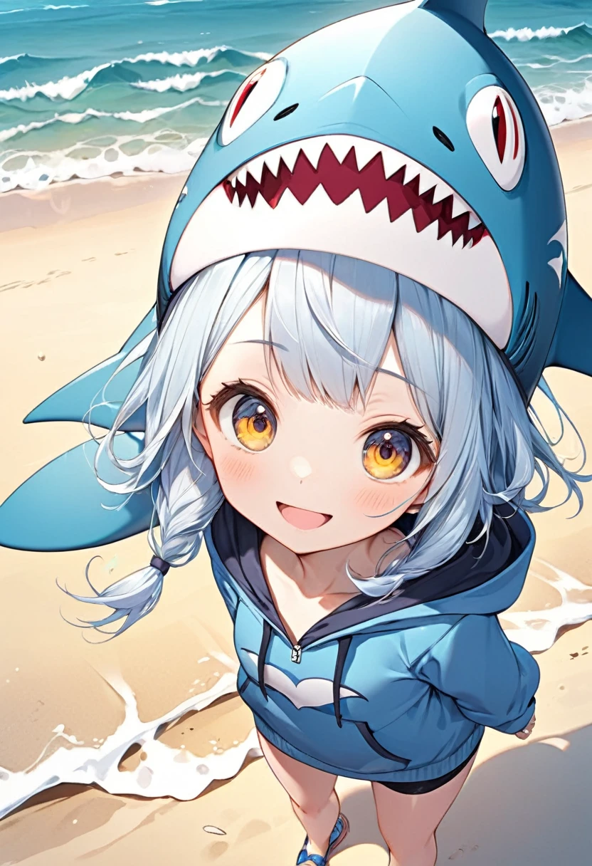 Cute light blue haired girl(Close),Wearing a blue hoodie,shark head hat, Close-up shot of a happy and lively character standing on the beach( perfect anatomy )
Beautiful and extremely fine texture,detailed, bright, High-quality animation style presentation