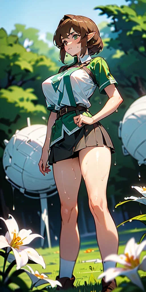 (((masterpiece, best quality, High Resolutions, 1girl, beltt, short miniskirt, Standing, outdoor, Featured, Flower ))), (link:1.5), legend of zelda, GS-womanly, bronde, Sweat, Wet, (gigantic breasts:1.2)