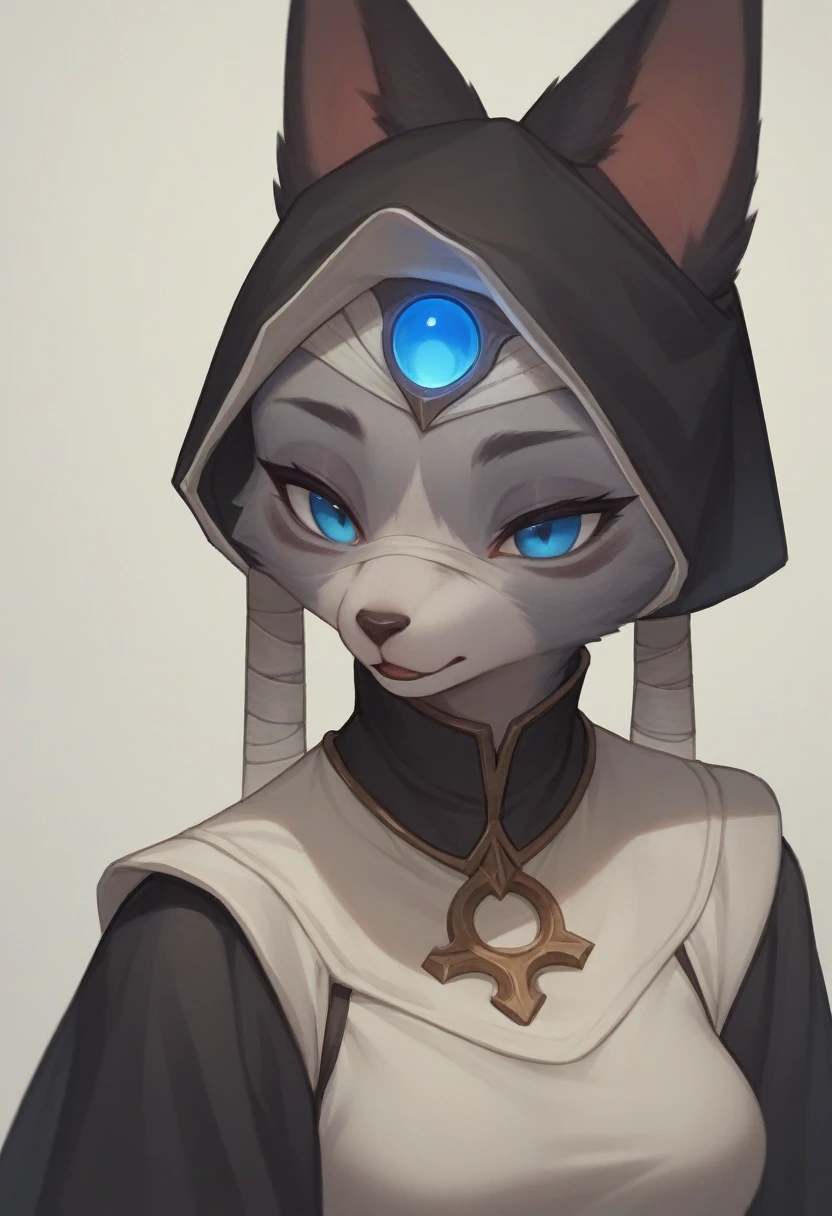 score_9, score_8_up, score_7_up, score_6_up, score_5_up, score_4_up,Yone, League of Legends, ((Better quality )),((Anthro female)) , wearing nun Clothing dress   , Black Shadow  body ,  wearing Bandage , big animal ears, haircut ,Dark blue , ((BLUE pupils)) ,Box series  