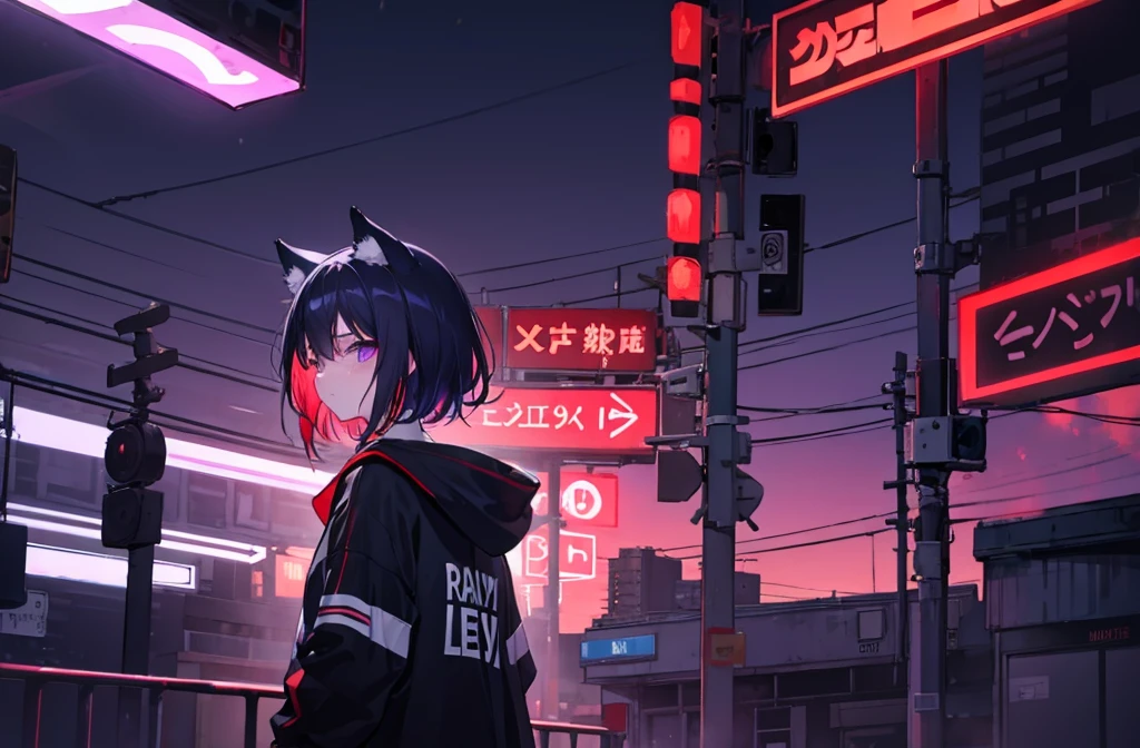 juvenile、boy、Black Hair、Cat ear、Short sleeve hoodie、Purple eyes、Red collar、night、Red Light District、Fluorescent lamp、signboard、neon、Flickering、Alley、dazzling、Alley、signboardに座っている、Looking at、painful、sad、lonely、sentimental、Pensive、look back、Wandering
