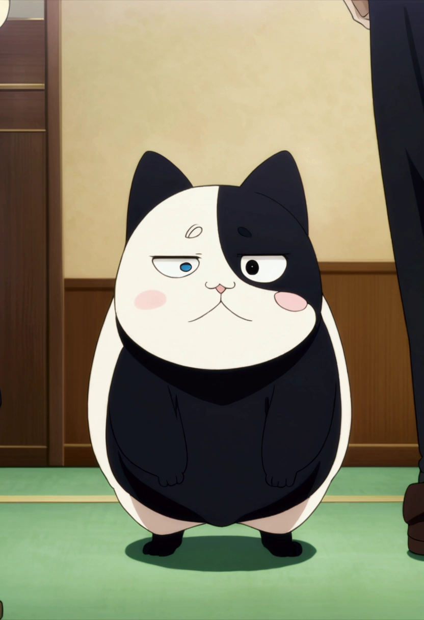 Black cat　Big eyes　Odd Eye　cute　character　A fat cat、The hair is thick、anime