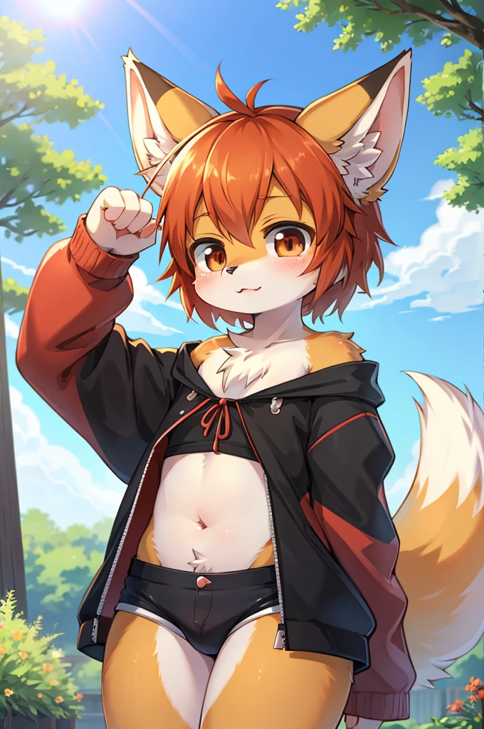 Translucent clothes，red fox，Shota