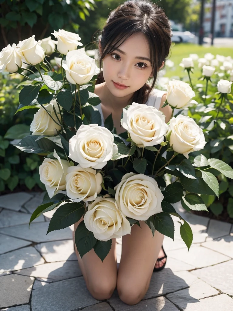 flower's, white rose, fill