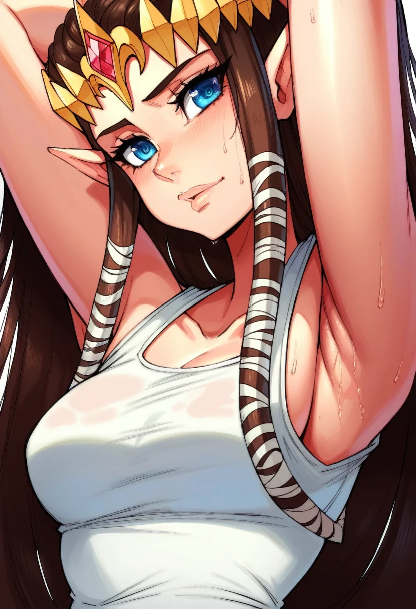 8K high quality, high accuracy, Princess Zelda, beautiful figure, beautiful face, twilight princess, beautiful woman, bright, highlights in eyes, brown hair, illustration, beautiful line drawing. Adult female, depicted head to belly, arms raised, armpits showing, arms behind head, blue eyes, sweaty, sweaty, ripped clothes, nipples, NSFW