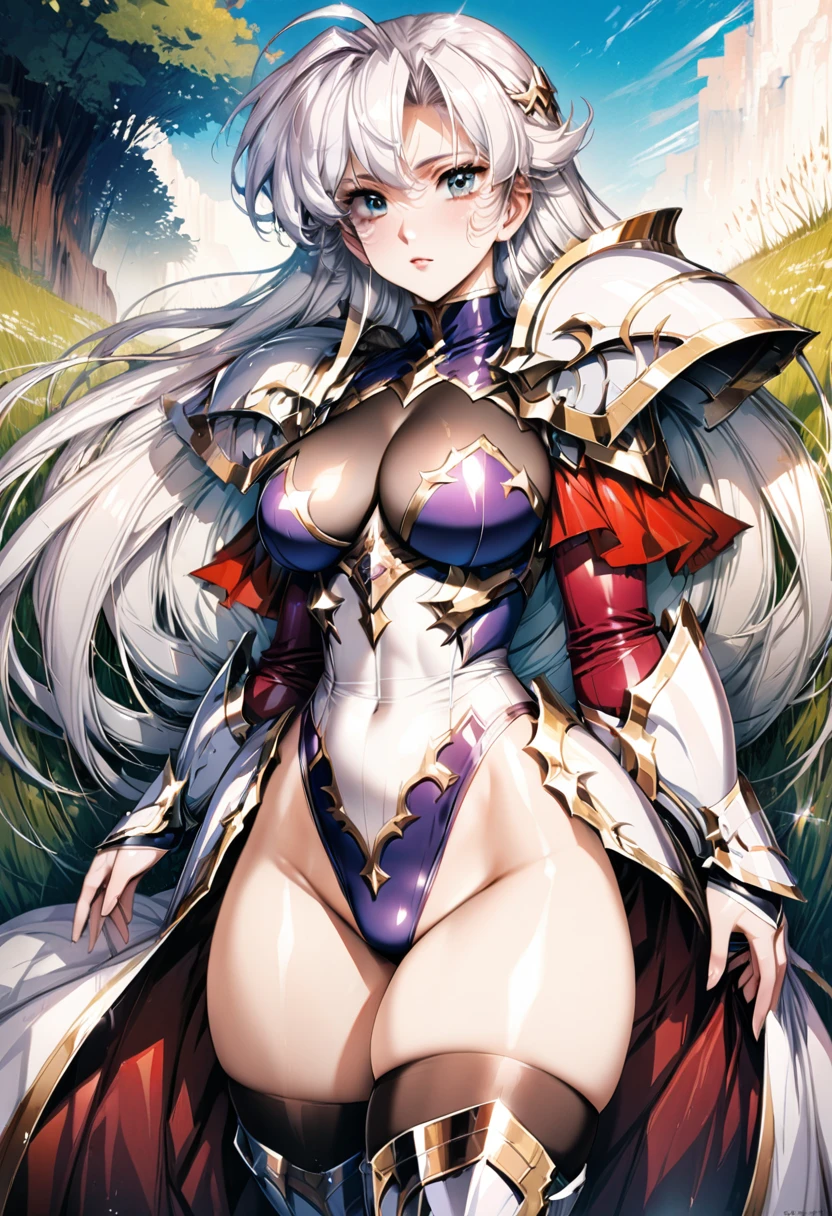 ((highest quality)), ((masterpiece)), ((hyperrealistic)), (detailed background), 1girl, ((curvy: 1.2)), ((Sparkling sequin lame leotard: 1.3)), ((catsuit)), ((paladin armor)), (long skirt dress), cloak de cour, gauntlet, gloves, white hair, ahoge, (large breasts), (see-through cleavage cutout), (zettai ryouiki armored thigh high boots), (pantyhose thighs), (pantyhose groin area), beautiful eyes, perfect face, Perfect hands, perfect fingers, Blue sky and grassland,