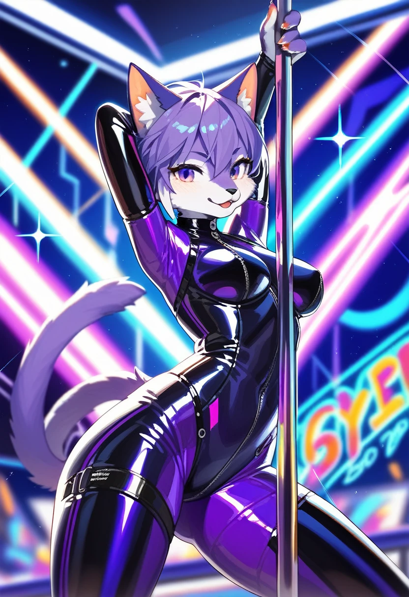 animation, Highest quality, Highest quality, High quality illustrations, masterpiece, Ultra-high resolution, Detailed Background, Disco, Graffiti art on the wall, Absurd, Perfect Anatomy, performance, Good lighting, Shadows in the movies(kemono, Furry PersonifiCation), Cat, Blueskin, Purple Rubber Suit, latex, neon, neonライト, neonカラー, Bodysuits, Cyber Suit, cyber punk, pole dance