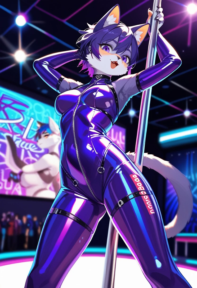 animation, Highest quality, Highest quality, High quality illustrations, masterpiece, Ultra-high resolution, Detailed Background, Disco, Graffiti art on the wall, Absurd, Perfect Anatomy, performance, Good lighting, Shadows in the movies(kemono, Furry PersonifiCation), Cat, Blueskin, Purple Rubber Suit, latex, neon, neonライト, neonカラー, Bodysuits, Cyber Suit, cyber punk, pole dance