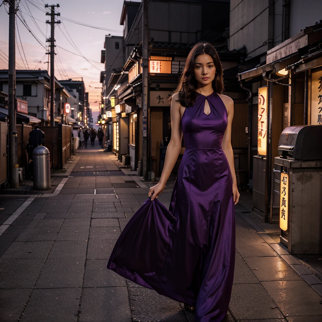 Female supermodel. Purple evening dress.  Dim, soft lighting. Sunset. Sunset. Kappabashi Kitchen Tools Street, Tokyo, Japan.