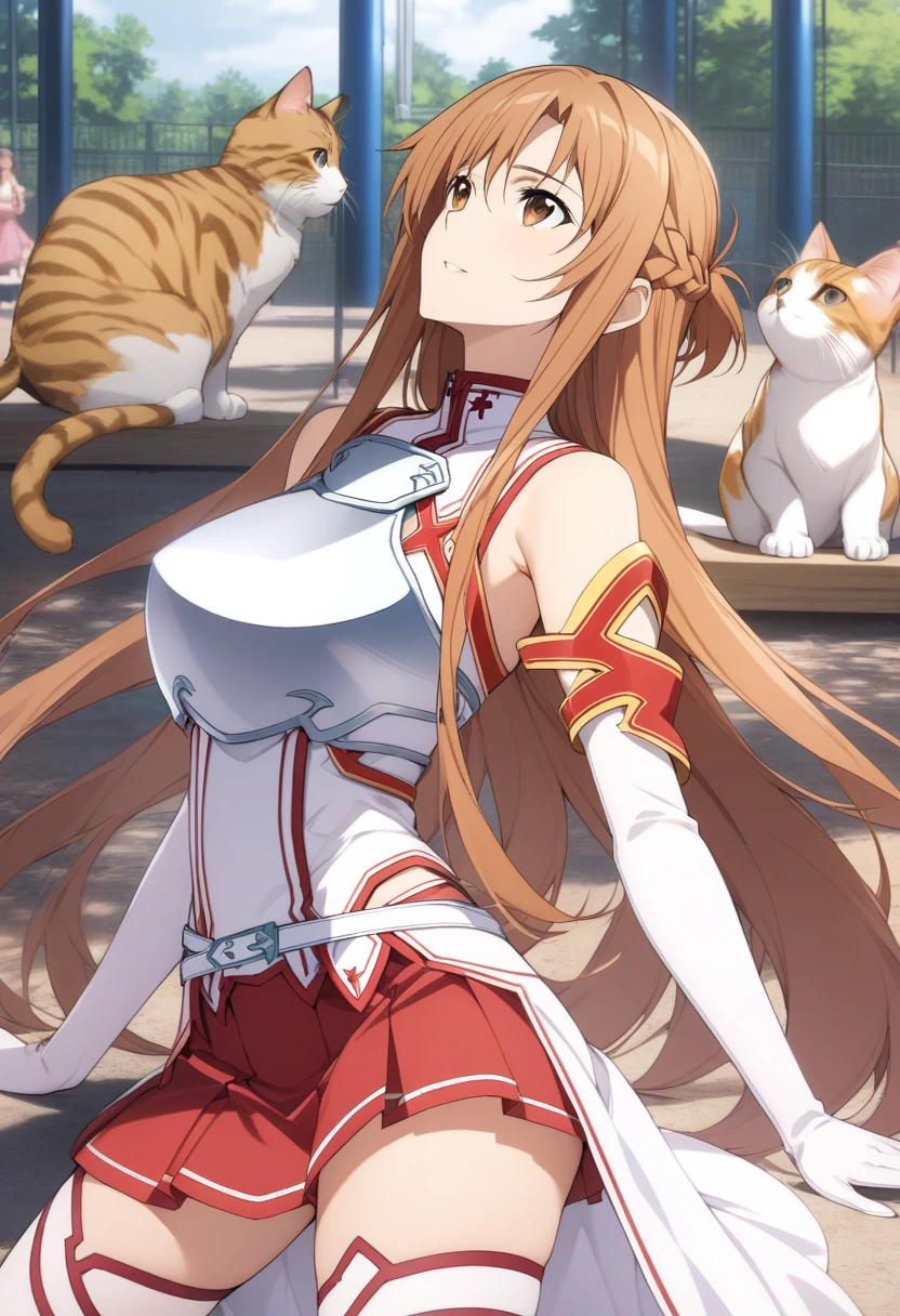 masterpiece, best quality, very aesthetic, absurdres, 1girl, mature_lady, looking at cat, big cat lying on her head,upper body,looking up,,asuna_(sao), sword_art_online, brown_eyes, brown_hair, long_hair, very_long_hair, braid, french_braid,armor, armored_dress, breastplate, white_armor, belt, white_belt, dress, white_dress, detached_sleeves, elbow_gloves, gloves, sleeveless, sleeveless_dress, miniskirt, pleated_skirt, red_skirt, skirt, thighhighs, white_thighhighs, zettai_ryouiki,,in a playground,floating_hair