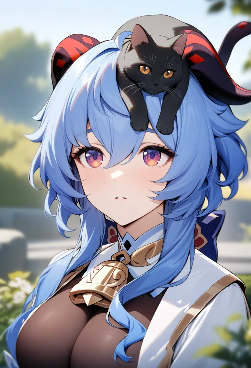 masterpiece, best quality, very aesthetic, absurdres, 1girl, mature_lady, looking at cat, big cat lying on her head,upper body,looking up,,ganyu,ganyu(genshin impact), horns, short blue hair, black body-stockings,white clothes,,in garden,blur background,background defocus