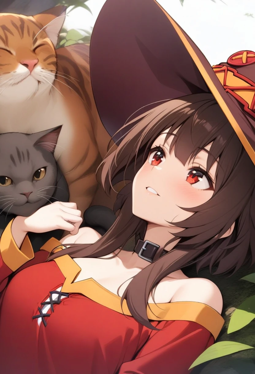 masterpiece, best quality, very aesthetic, absurdres, 1girl, mature_lady, looking at cat, big cat lying on her head,upper body,looking up,,megumin, kono_subarashii_sekai_ni_shukufuku_wo!,1girl,  brown_hair,witch_hat,black_choker,   red_dress, long_sleeves, bandaged_leg, black_thighhighs, single_thighhigh,,in an island,floating_hair