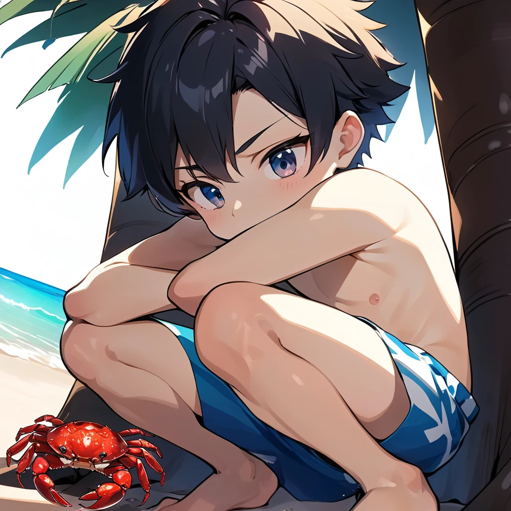 anime boy sitting on a beach with a crab in his hand, in the beach, at the beach, anime moe artstyle, at a beach, tsunami behind him, official art, kawacy, anime boy, sitting at the beach, on a beach, rin, 8k!, handsome anime pose, wallpaper anime blue water, zerochan art, beaching, no swimming trunks naked, butt exposed