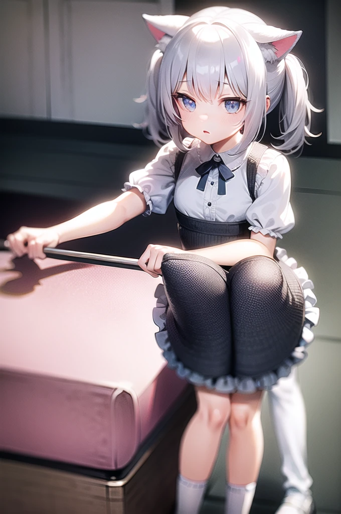 Gray Hair,Cat ear,Light blue eyes,light blue ta,White socks,Pink ribbon,Playing with a cat