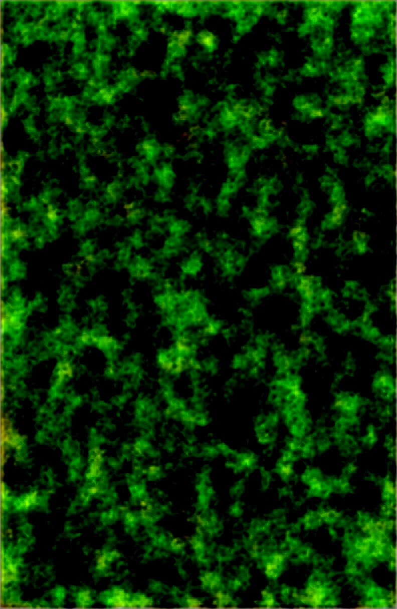 ((pale colour)), Highest quality, High resolution, masterpiece、小さな幼いcute美少女、Flat ()、cute、(Smile and blush:1.2)From the back、From below、Big  on the 、、Unshaven hairy pubic hair、