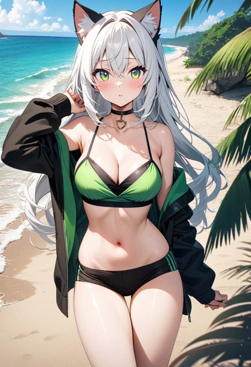 an anime girl posing in black and green outfit on the beach for a photo shoot, 1girl, solo, navel, big breasts, breasts, green eyes, long hair, animal ears, looking at viewer, outdoors, white hair, off shoulder, beach, choker, multicolored hair, bare shoulders, stomach, day, crop top, midriff, medium breasts, spaghetti strap, camisole, cleavage, thighs, cat ears, black choker, jacket,
